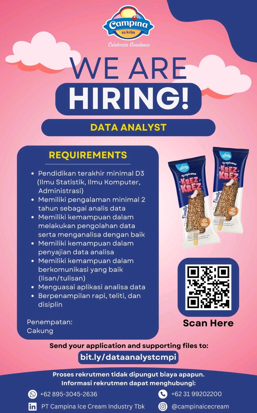 Data Analyst